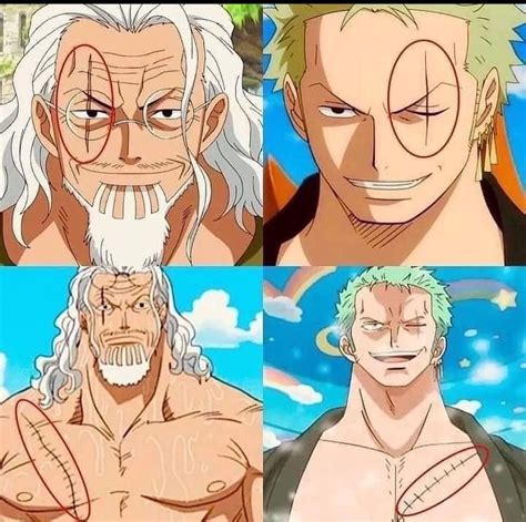 Is Zoro The Heir Of Silver Rayleigh In One Piece Find Out VISADA ME