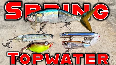 The Best Topwater Lures For Spring And Summer Bass Fishing YouTube