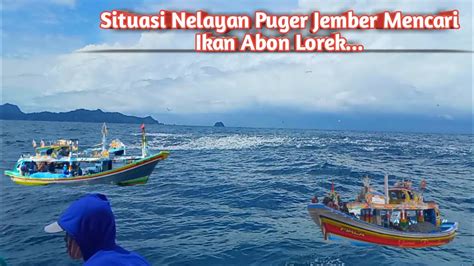 Situasi Nelayan Puger Jember Mencari Ikan Abon Lorek April