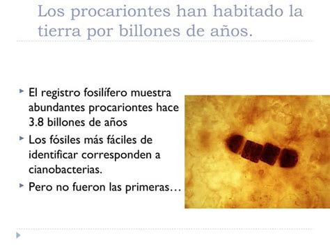 Origen De La Vida Y Evoluci N Microbiana Ppt