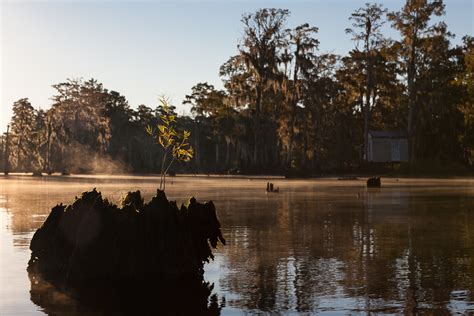 Swamp Landscape Photography Tour