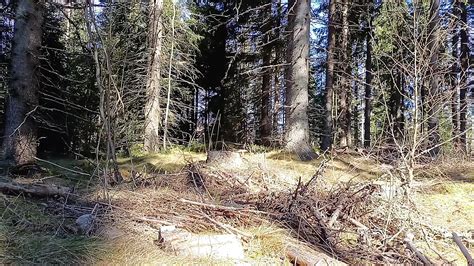 Naked Hike Finnish Gay Masturbation Masturbation Porn XHamster