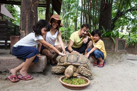 Wildlife Park - Sunway Lagoon Theme Park Malaysia Zoo