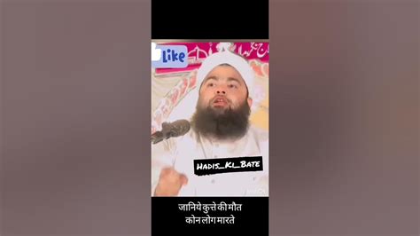 Allah Kin Logo Ko Pasand Nahi Krta Viralvideo Aminulqadri Allah Like Hadis Islamicvideo