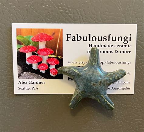 Set Of Three Ceramic Starfish Magnets Refrigerator Magnets Etsy