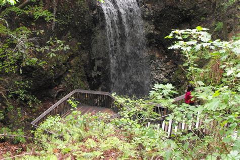 The Best Hiking Trails with Waterfalls Around Tampa, FL | Hiking trails ...