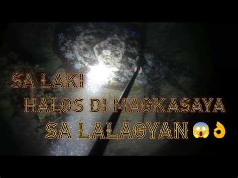 Spearfishing Philippines Nakadali Ng Malaki Kahit Saglit Lng Kami