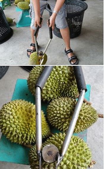 how to open durian