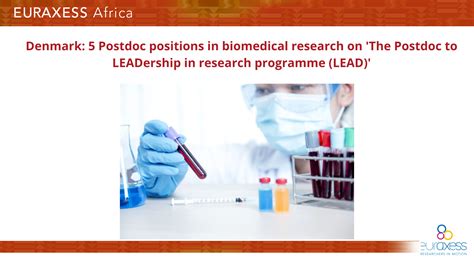 Denmark 5 Postdoc Positions In Biomedical Research On The Postdoc To