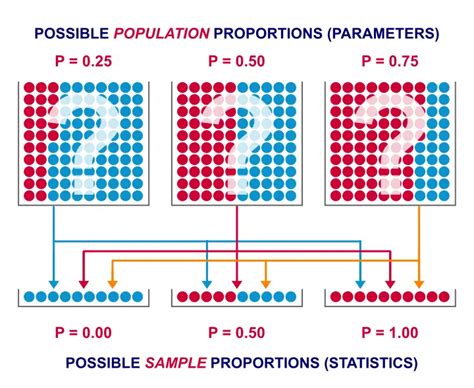 Statistics Made Simple What Is A Binomial Test Hot Sex Picture