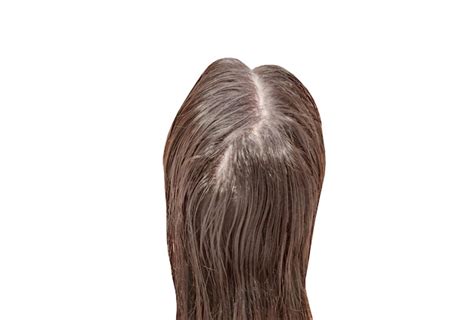 Premium Photo | Women hair top view from the back of head isolated on ...