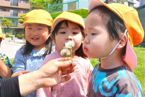 【2024年最新】ゆめの樹保育園しんこいわの求人・転職・募集情報保育士正社員 東京都葛飾区【保育士バンク！】