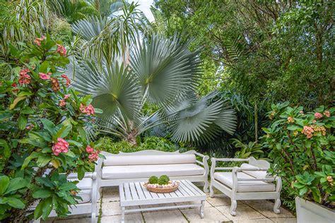 Caribbean Garden Tropical Landscape Miami By Craig Reynolds