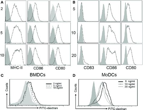 High Interleukin Il Concentration Promotes A Mature Dendritic