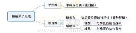 《生物化学》3大考点思维导图 临床助理医师学霸笔记