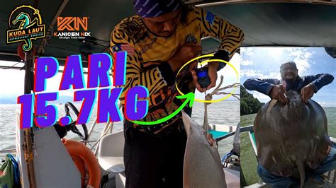 Vlog Rejaman Pari Kg Di Pulau Aman Penang Ultralight Angler