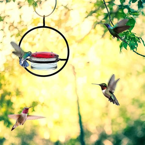 🎉 Last Day Promotion-60% OFF 🎉Hummble Slim Hummingbird Feeder👈🔥