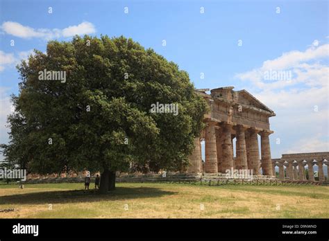 El Athenaion Ceres O Templo De Atenea Templo De Paestum Campania