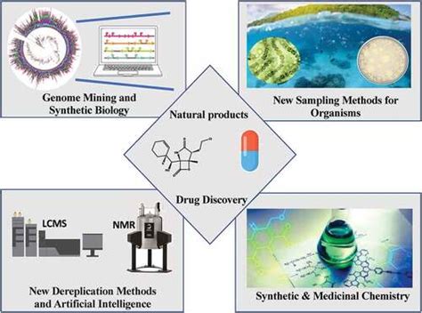 Full Article Methods In Marine Natural Product Drug Discovery Whats New