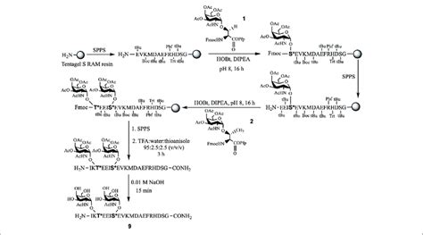 SCHEME 1 | Stepwise synthesis of APP glycopeptide, APP 661-680 -T*, S* (9). | Download ...