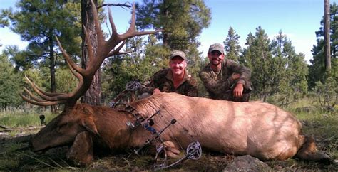 New Mexico Guided Elk Hunts In Unit 16a Unit 16d Unit 16c Compass West Outfitters Compass