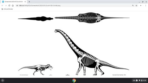 Tyrannosaurus Rex Vs Brachiosaurus