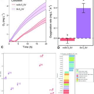 Measure And Effect Of Micro Oxygenation In 5 ML SV Panel A Kinetics