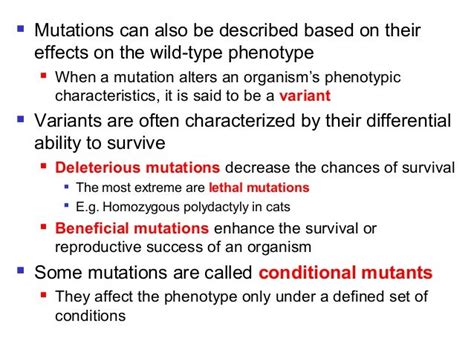 Lecture 4 Gene Mutationppt