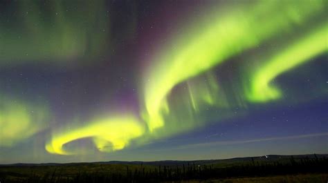 Alaska Aurora Borealis Tours AK Dinner Included | 1st Alaska Tours