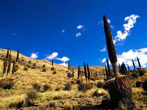 Las 10 áreas naturales protegidas más visitadas del Perú Viajes del