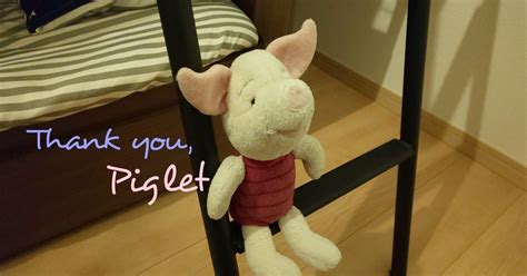 Thank You Piglet｜hal