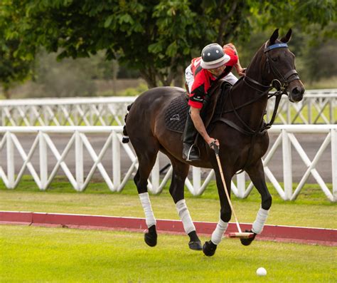 Why Is A Polo Shirt Called A Polo Shirt? : Dallas Burston Polo Club