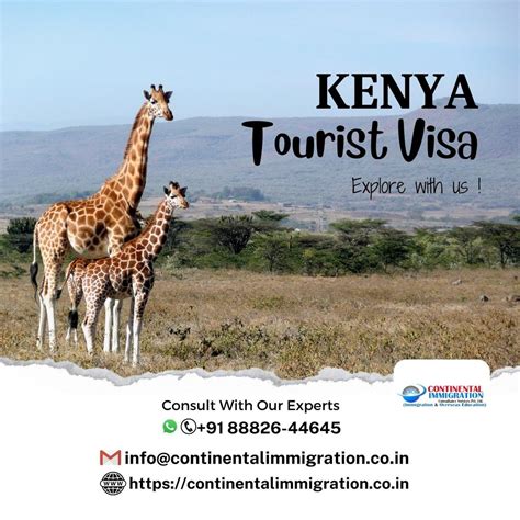 KENYA TOURIST VISA SERVICES At Rs 6900 Person In New Delhi ID