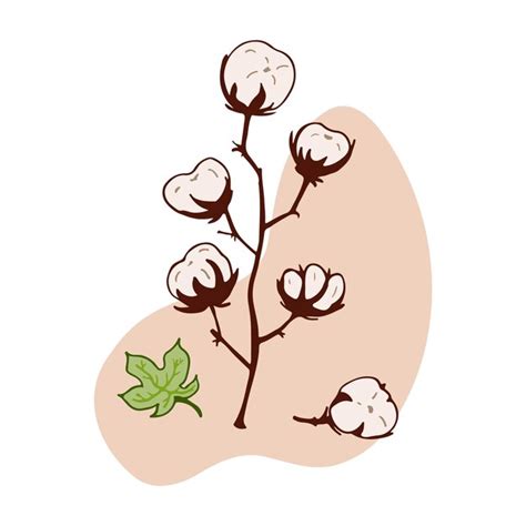 Premium Vector Cotton Plant Isolated Vector Illustration Concept