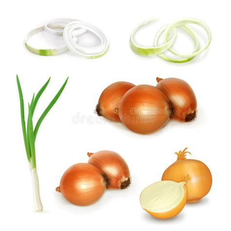 Onion Set Vector Icons Stock Vector Illustration Of Design 84247475