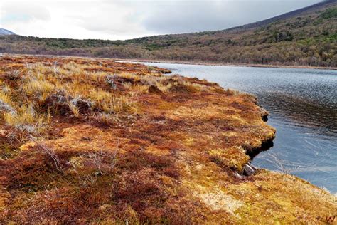 Visitar El Parque Nacional Tierra Del Fuego Los Viajes De Lewar