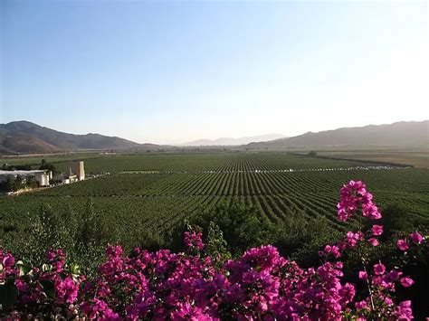 Ruta Del Vino Por El Valle De Guadalupe México Viajeros Ocultos