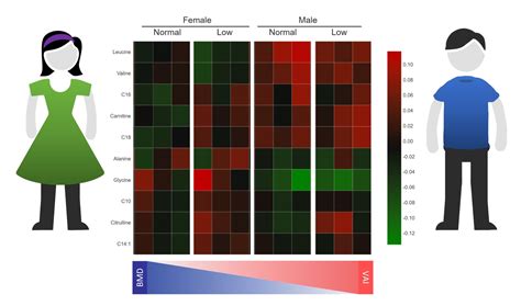 Metabolites Free Full Text Serum Metabolite Profile Associated With