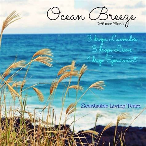 Ocean Breeze Diffuser Blend Essential Oil Diffuser Blends Recipes