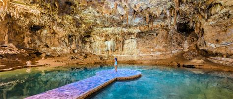 Best Cenotes In Riviera Maya You Must Visit In