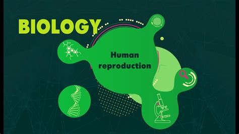 Ks Reproduction Bbc Bitesize Biology Youtube