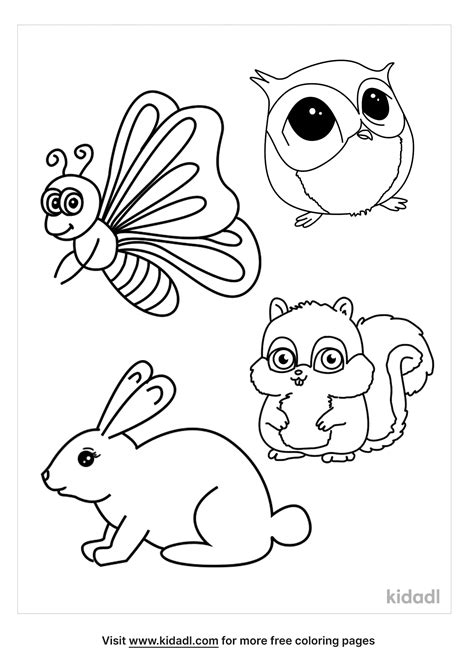 Free Nocturnal Animals Coloring Page | Coloring Page Printables | Kidadl