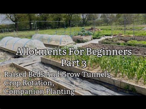 Allotments For Beginners Part Allotment Gardening For Beginners