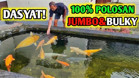 Koleksinya Kolam Polosan Jumbo Dan Bulky Apa Sih Rahasia Dan Resep