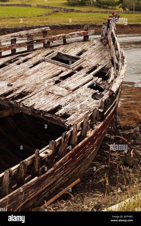 An Large Old Wrecked Wooden Boat In Dry Dock Showing The Rotting