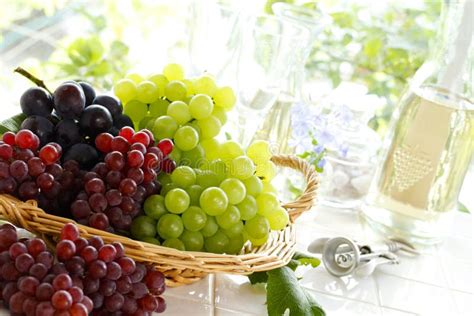 Japanese Grapes Simuscus Grapes Korean Grapes Korean Fruit Stock