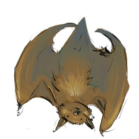 Bat Doodle — Weasyl