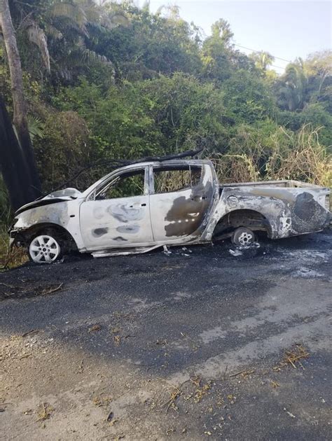 Motorista colide árvore ao desviar de antas e caminhonete incendeia