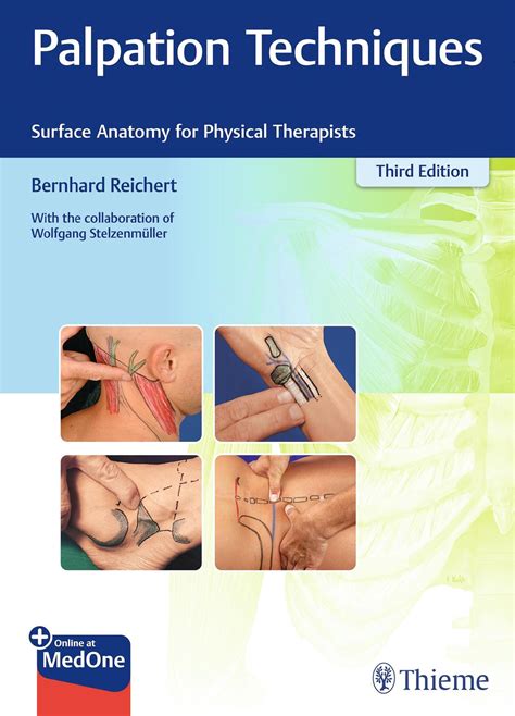 PALPATION TECHNIQUES SURFACE Anatomy for Physical Therapists Reichert (u. a.) EUR 88,95 ...