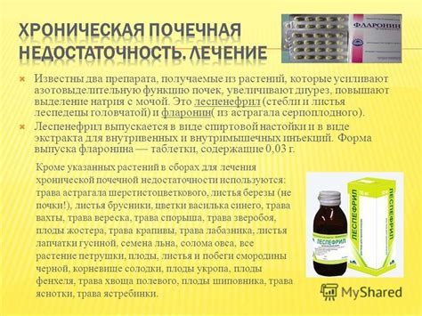 Презентация на тему: "Болезни почек и мочевыводящих путей встречаются ...